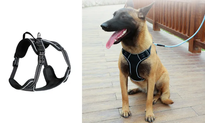 Adjustable Pet Reflective Vest