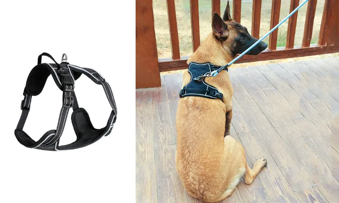 Adjustable Pet Reflective Vest
