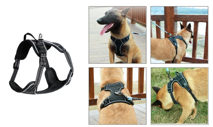 Adjustable Pet Reflective Vest