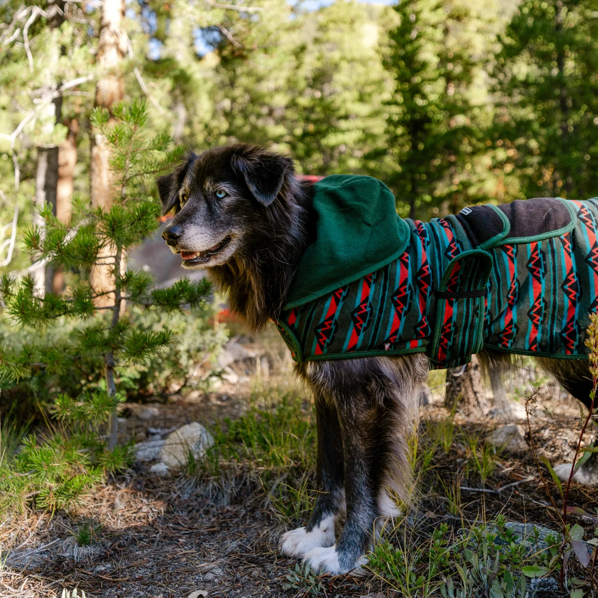 Olive Fleece Jacket