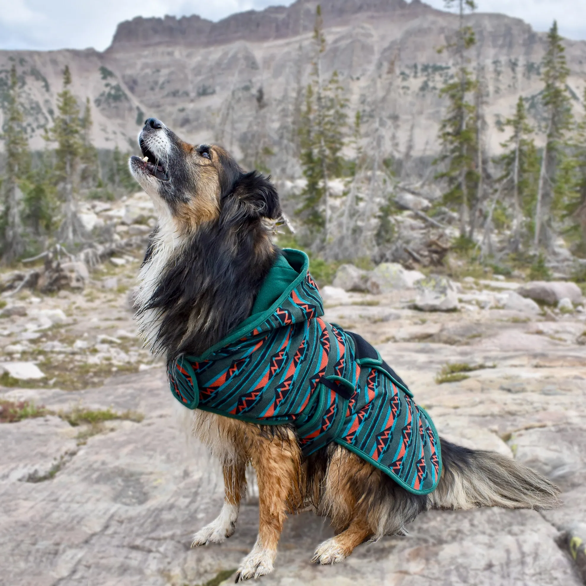 Olive Fleece Jacket